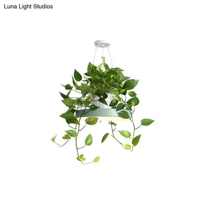 Mint green Brooklyn round macaron pendant light with planter, hanging vines Decorbites on Tampa Home & Garden Store