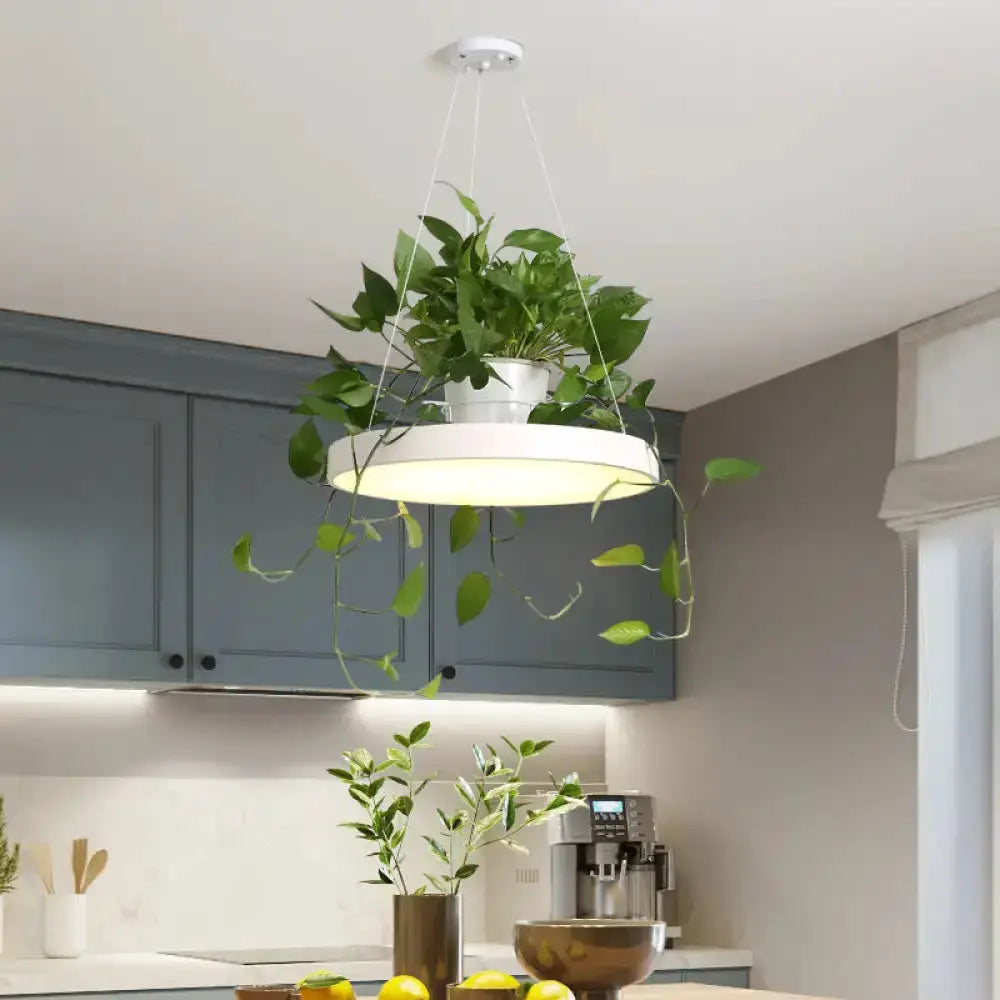 Brooklyn round macaron pendant light in mint green with white planter and vines Decorbites on Tampa Home & Garden Store