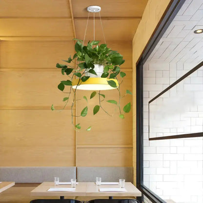 Mint green Brooklyn round macaron pendant light with hanging kitchen planter and trailing vines on Tampa Home & Garden Store