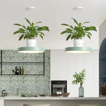 Mint green Brooklyn round macaron pendant lights with kitchen planters, two fixtures Decorbites on Tampa Home & Garden Store