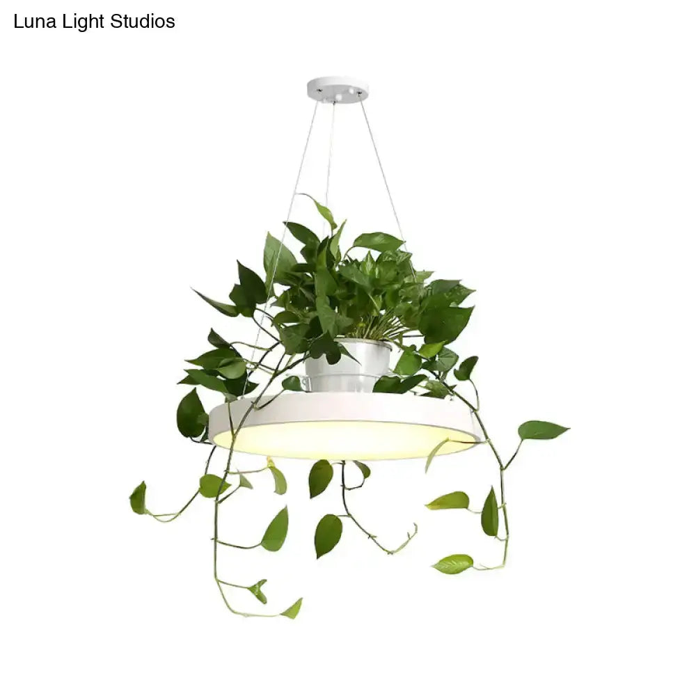 Mint green Brooklyn round macaron pendant light with kitchen planter, hanging vines on Tampa Home & Garden Store