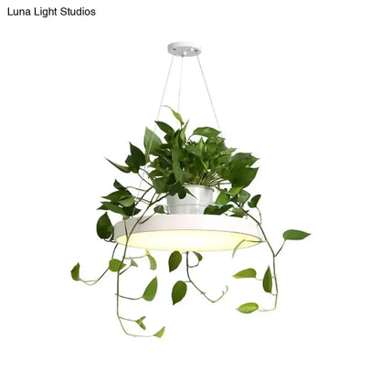 Mint green Brooklyn round macaron pendant light with kitchen planter, hanging vines on Tampa Home & Garden Store