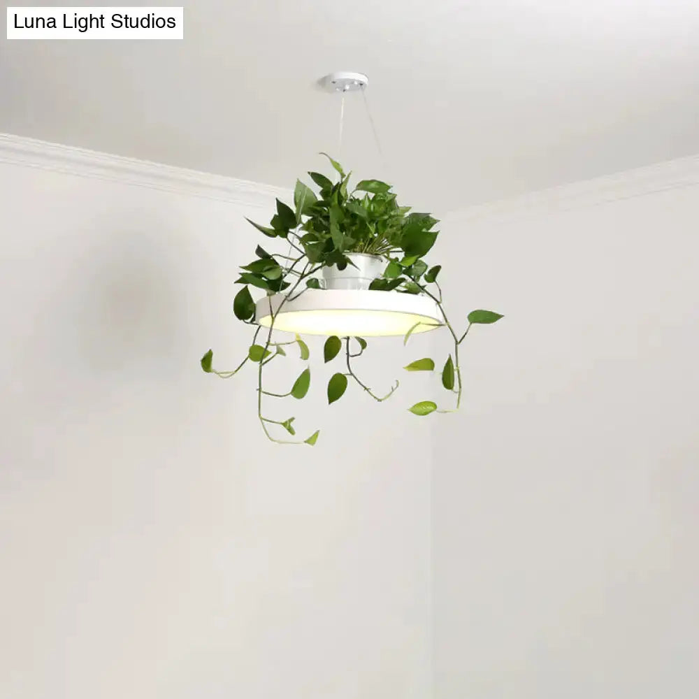 Mint green Brooklyn macaron pendant light with kitchen planter by Decorbites, hanging planter on Tampa Home & Garden Store