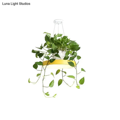 Mint green Brooklyn round macaron pendant light with kitchen planter by Decorbites on Tampa Home & Garden Store