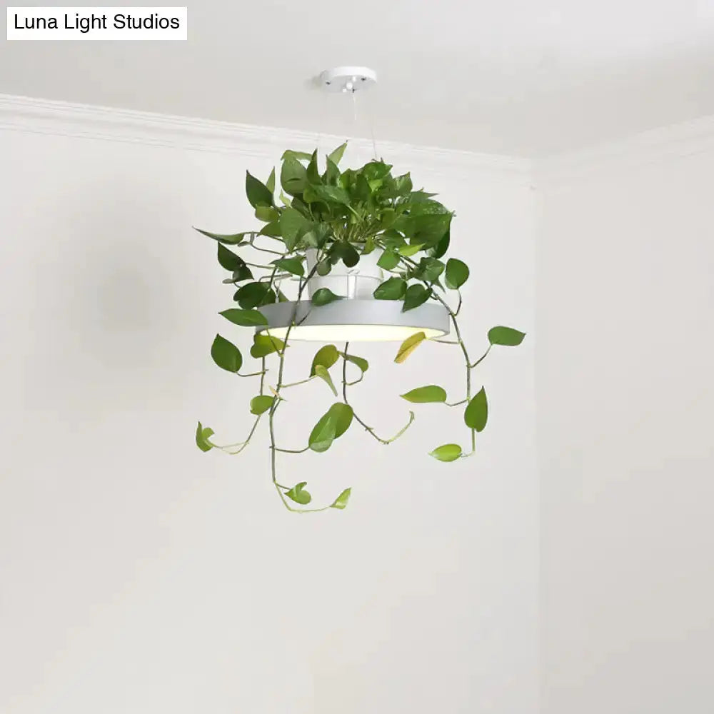 Mint green Brooklyn round macaron pendant light with hanging kitchen planter and trailing vines on Tampa Home & Garden Store
