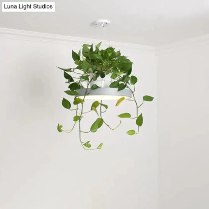 Mint green brooklyn round macaron pendant light with kitchen planter Decorbites on Tampa Home & Garden Store