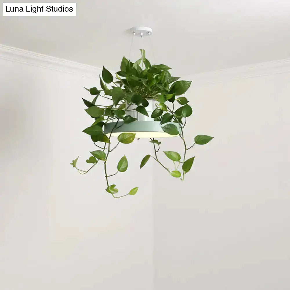 Mint green Brooklyn round macaron pendant light with kitchen planter Decorbites on Tampa Home & Garden Store