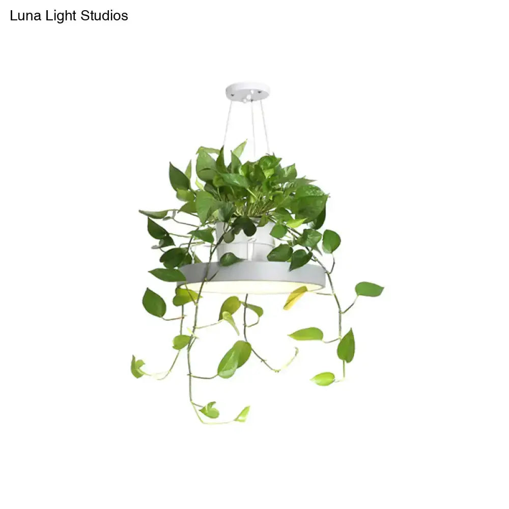 Mint green Brooklyn round macaron pendant light with kitchen planter and trailing ivy, Decorbites on Tampa Home & Garden Store