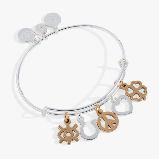 Mixed Symbol Multi-Charm Bangle with silver tone band and gold-tone charms by Alex and Ani on Tampa Home & Garden Store
