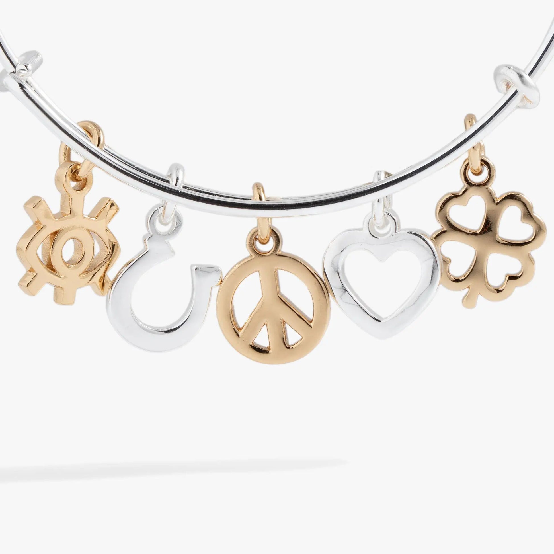 Mixed Symbol Multi-Charm Bangle by ALEX AND ANI in silver and gold-tone with heart-cutout charms on Tampa Home & Garden Store
