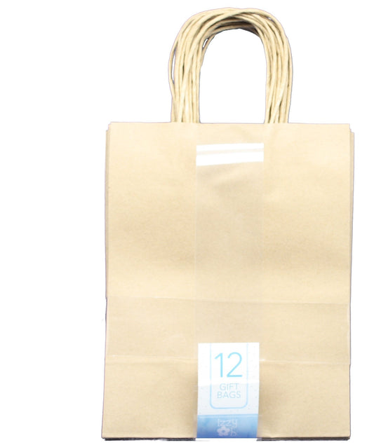 Medium Kraft Brown Gift Bag Set of 12