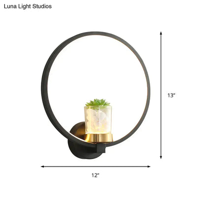 Black circular wall sconce with glass plant vase and succulent, 12 in wide by 13 in tall on Tampa Home & Garden Store