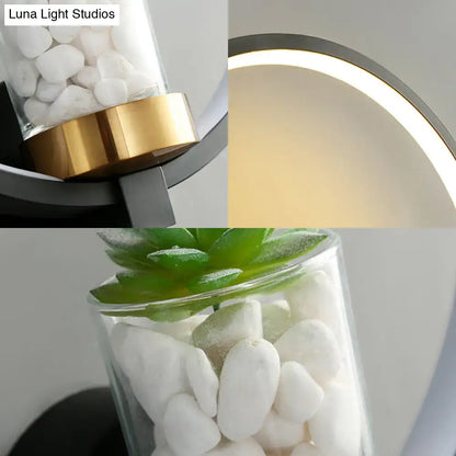 Black circular wall sconce with plant vase, pebbles and green succulent, brass Decorbites on Tampa Home & Garden Store