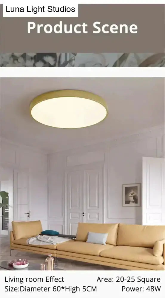 Modern Gold Faceted Surface Mounted Fixtures
