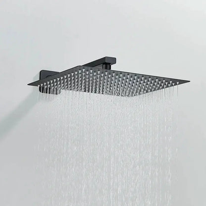Modern Black Luxury Rain Shower Head and Wall Arm