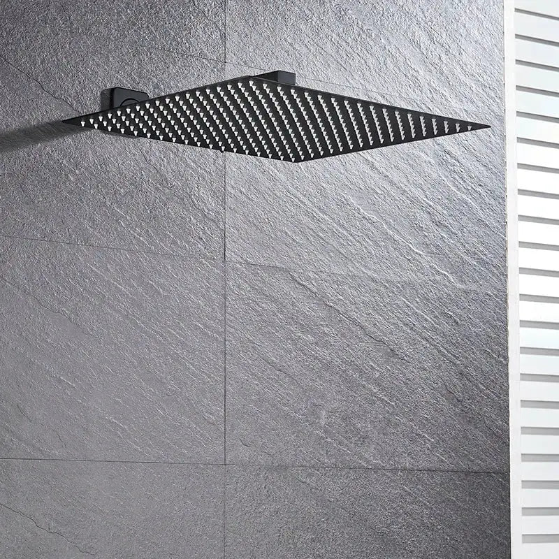 Modern Black Luxury Rain Shower Head and Wall Arm