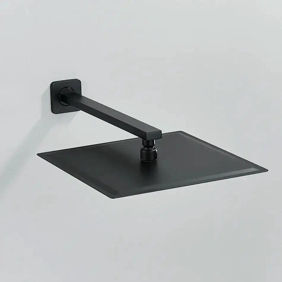 Modern Black Luxury Rain Shower Head and Wall Arm