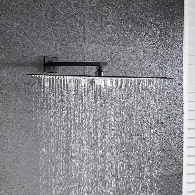 Modern Black Luxury Rain Shower Head and Wall Arm
