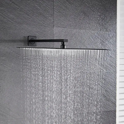 Modern Black Luxury Rain Shower Head and Wall Arm