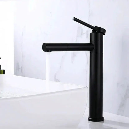 Decorbites modern matte black rotating basin faucet with single-handle tap on Tampa Home & Garden Store