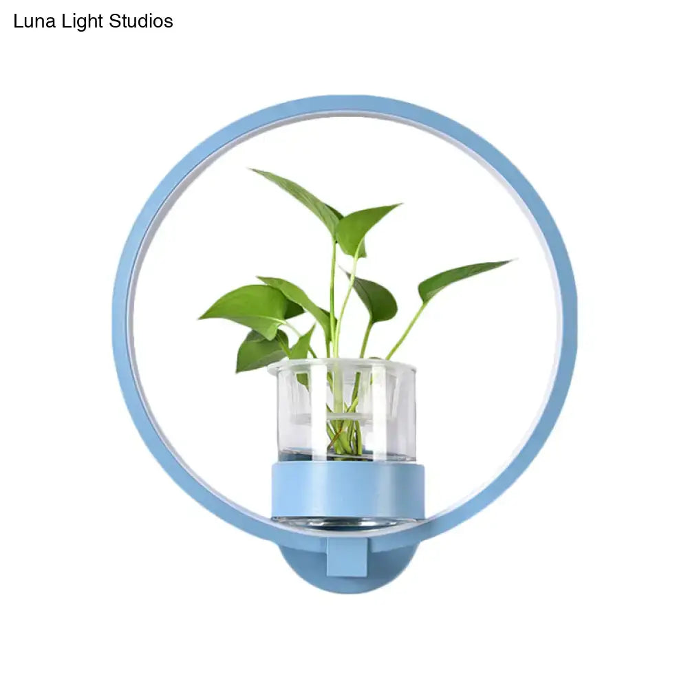 Blue circular wall light with glass planter and green plant, Decorbites bedroom LED sconce on Tampa Home & Garden Store