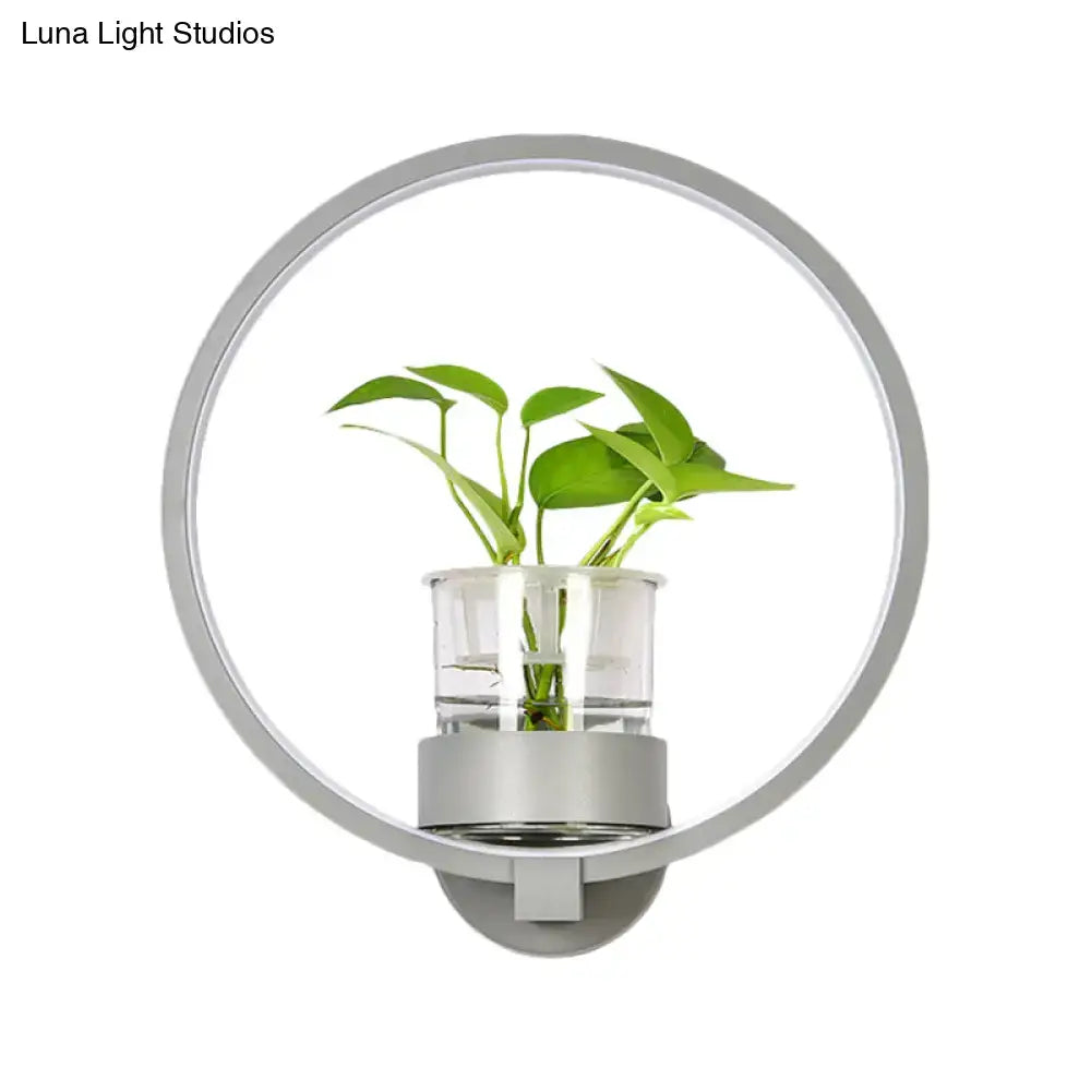 Modern silver circular LED wall light with clear glass plant pot and green plant on Tampa Home & Garden Store