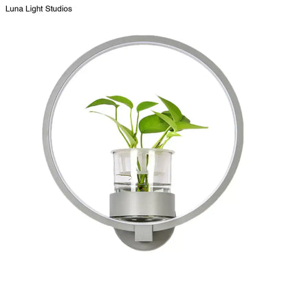 Modern silver circular LED wall light with clear glass plant pot and green plant on Tampa Home & Garden Store