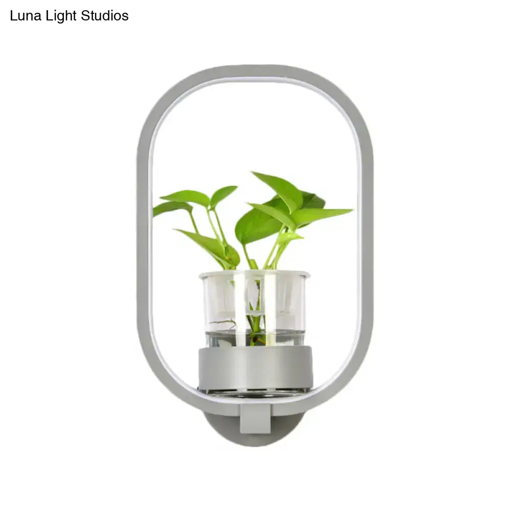 Modern silver wall light with glass plant pot LED sconce by Decorbites for bedroom decor on Tampa Home & Garden Store