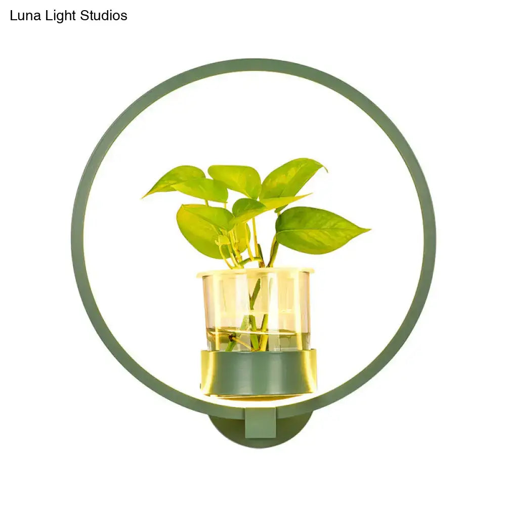 Modern circular silver wall light with glass plant pot and LED ring, bedroom sconce on Tampa Home & Garden Store