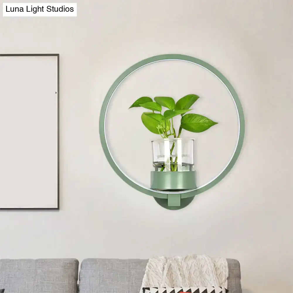 Modern circular silver wall light with glass plant pot, Decorbites bedroom LED sconce on Tampa Home & Garden Store