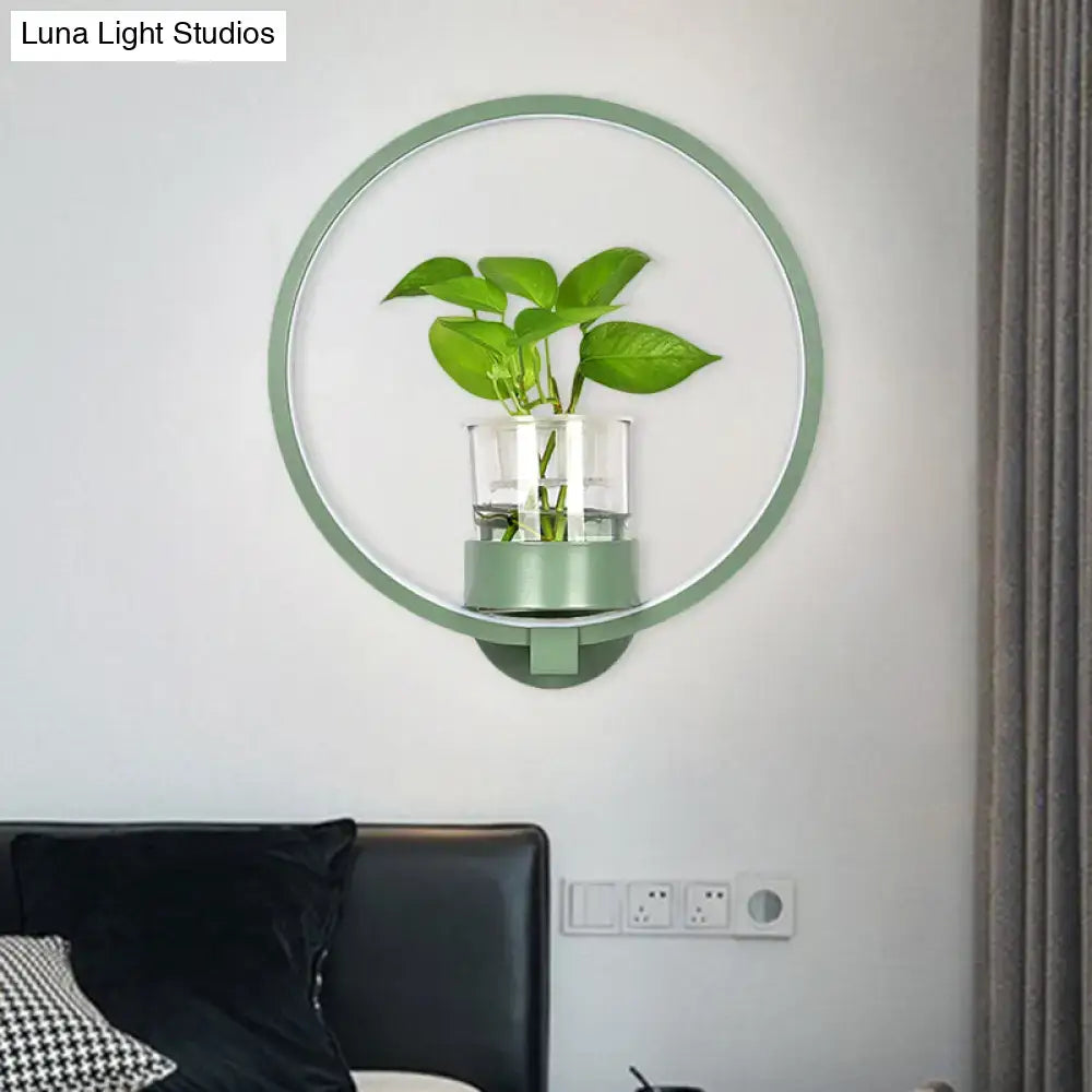 Modern circular green wall light with glass plant pot LED sconce for bedroom on Tampa Home & Garden Store