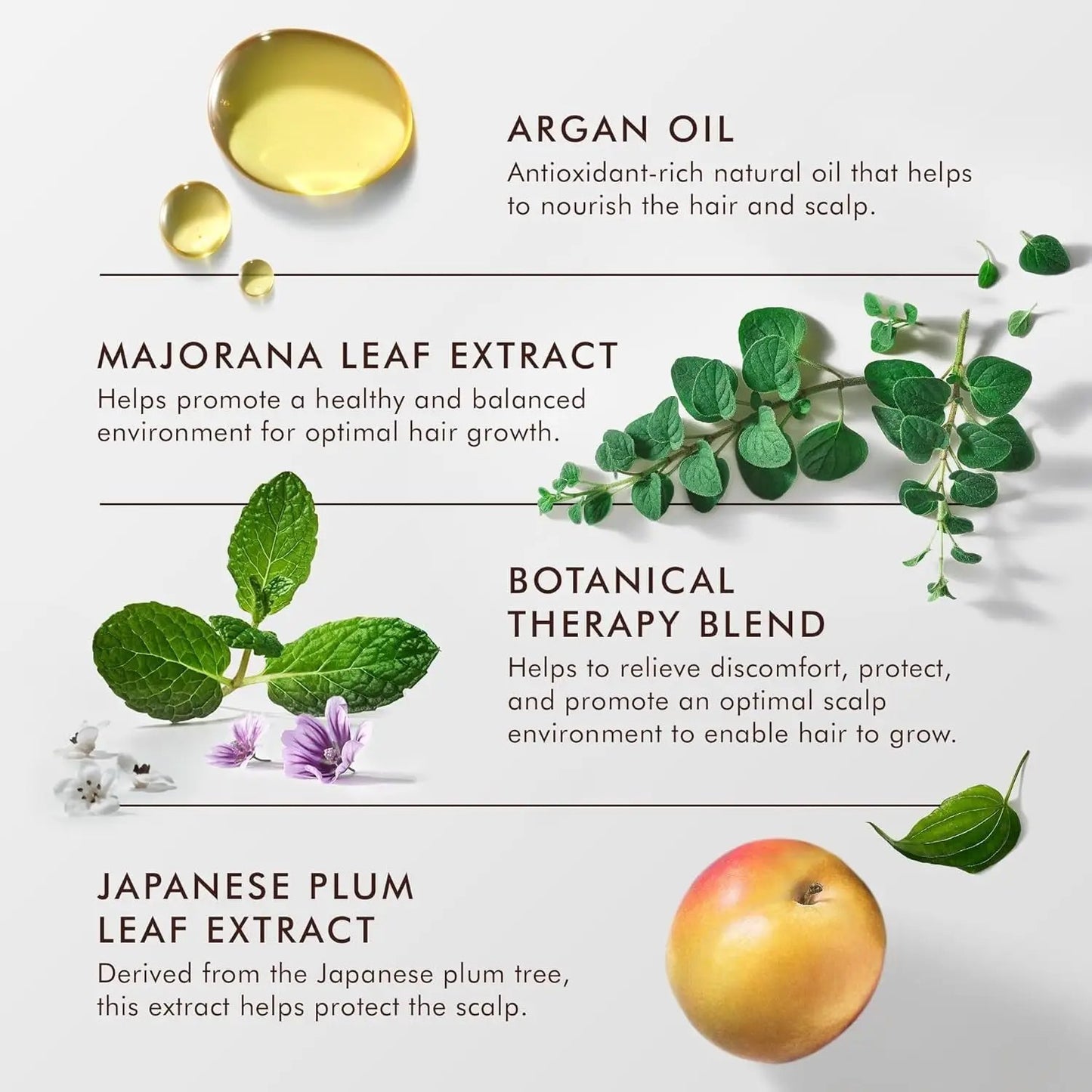 Moroccanoil Scalp Tonic 3.4 oz with argan oil and leaf extracts for Nava Beauty hair care on Tampa Home & Garden Store