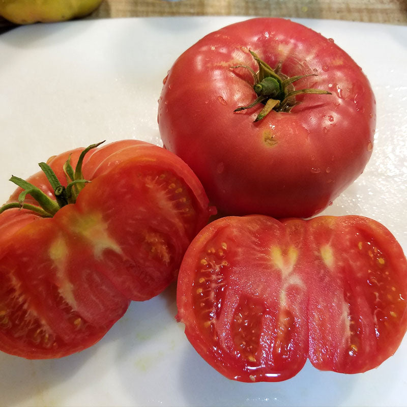 Semillas de tomate Mortgage Lifter (orgánicas)