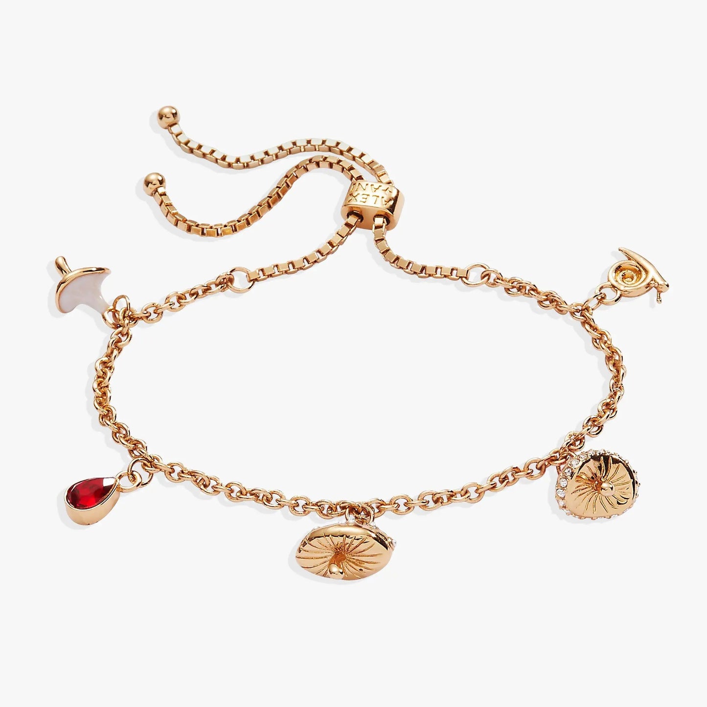 Mushroom Bolo Charm Bracelet by Alex and Ani, rose gold tone with teardrop gemstone charm on Tampa Home & Garden Store