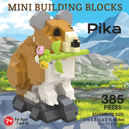 Mini blocs de construction - Pika