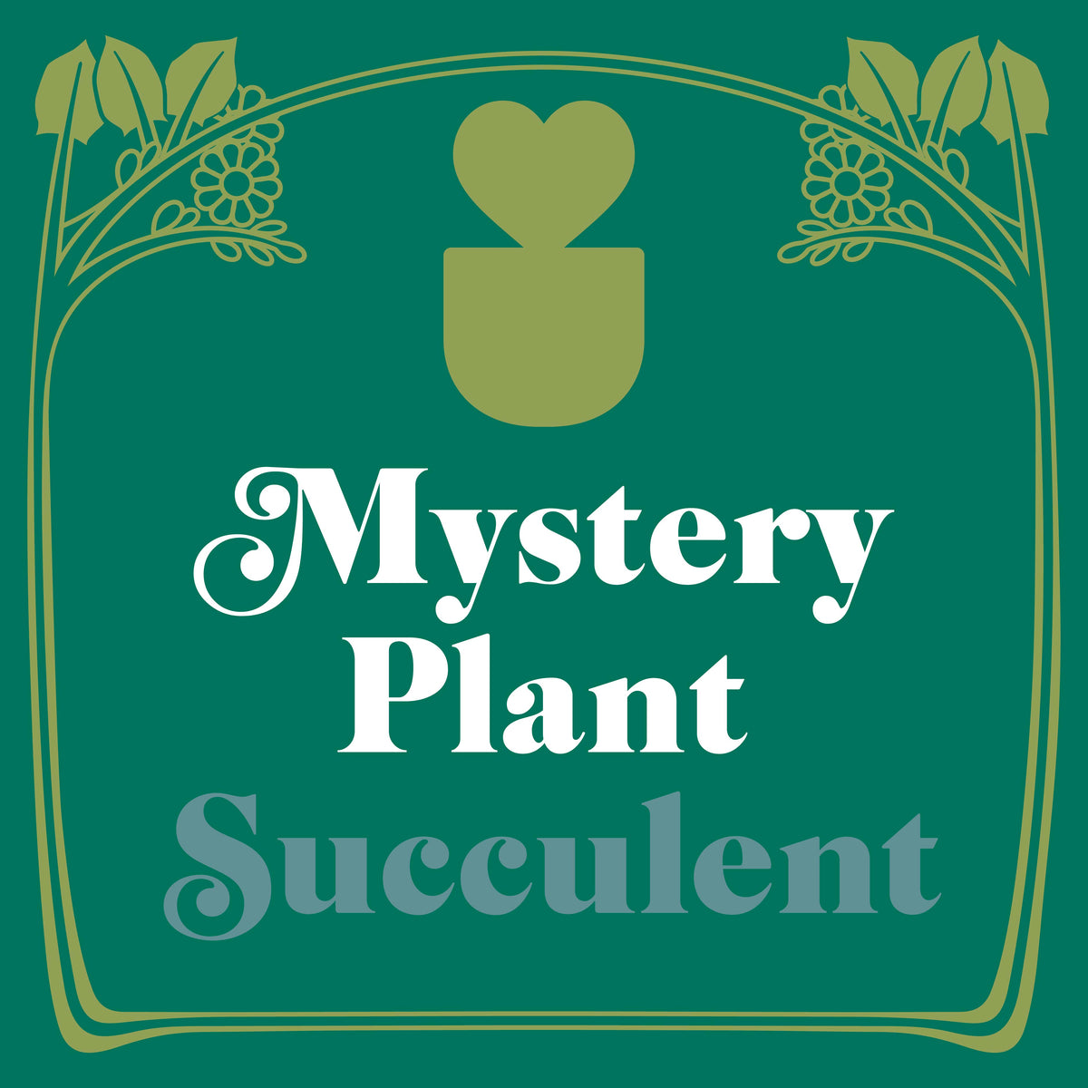 Mystery Succulent House Plant by House Plant Shop on graphic with gold frame and heart pot on Tampa Home & Garden Store