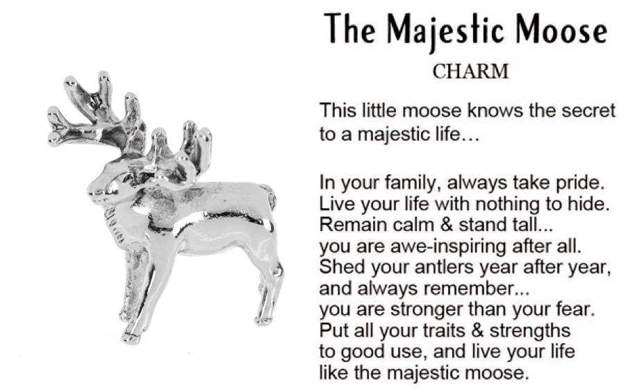 - image on Tampa Home & Garden Store