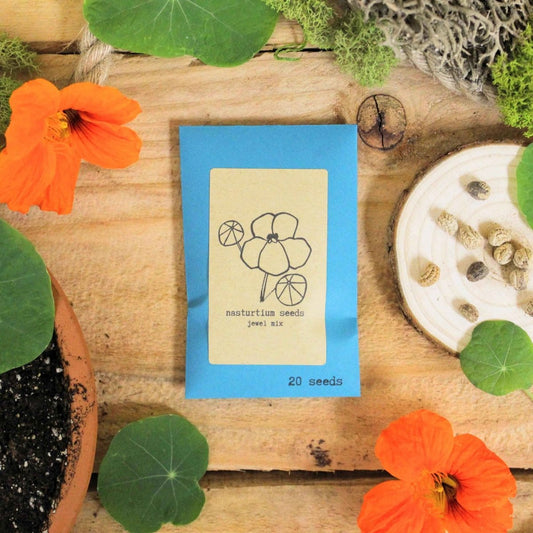 Nasturtium Seeds