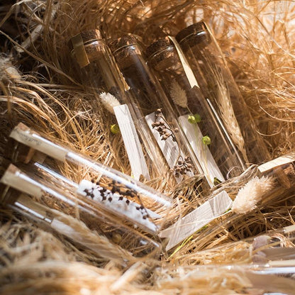 Natural dried flower in glass tube set of 5 by RusticReach, randomly picked assortment on Tampa Home & Garden Store
