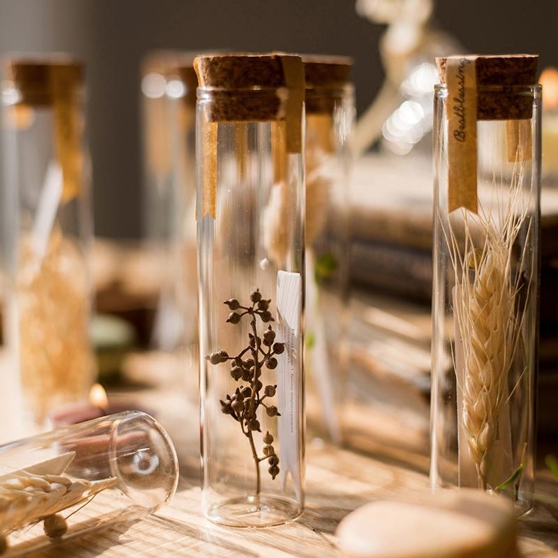 Natural Dried Flower in Glass Tube set of 5 with cork lids for rustic decor on Tampa Home & Garden Store