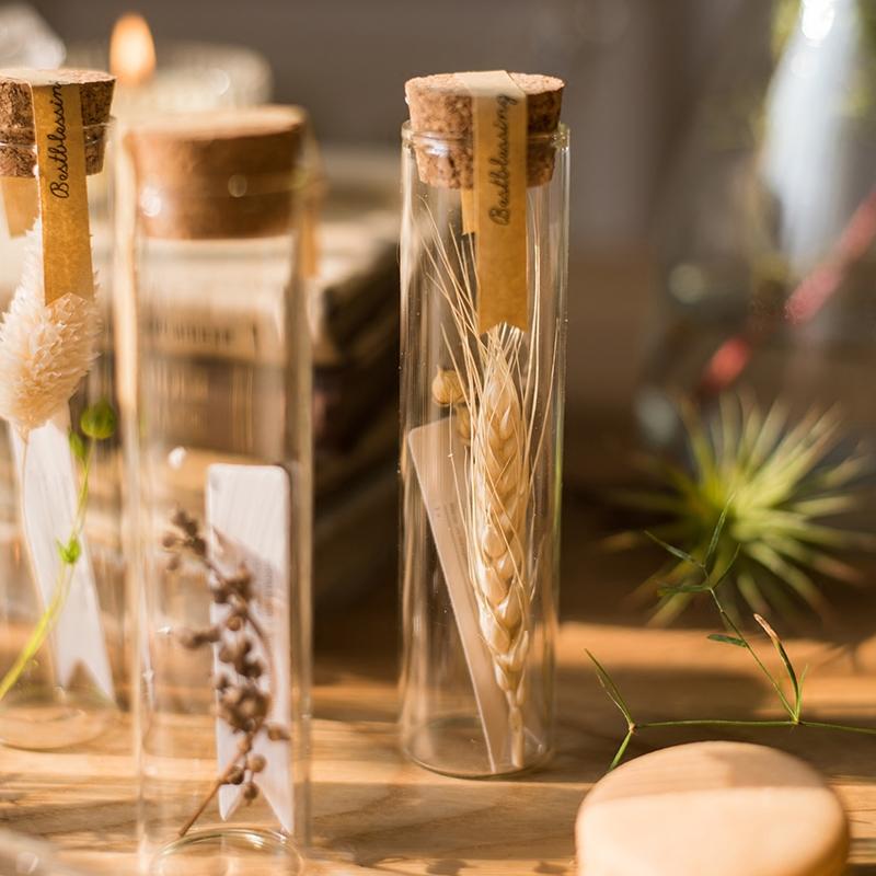 Natural dried flowers in glass tubes set of 5 by RusticReach with cork stoppers on Tampa Home & Garden Store