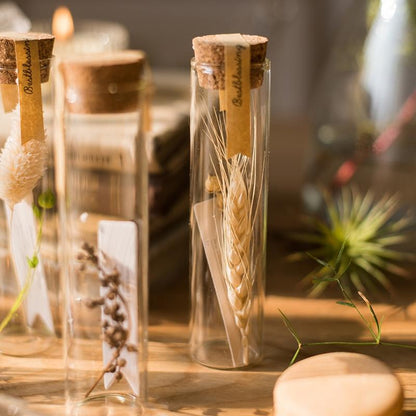 Natural dried flowers in glass tubes set of 5 by RusticReach with cork stoppers on Tampa Home & Garden Store