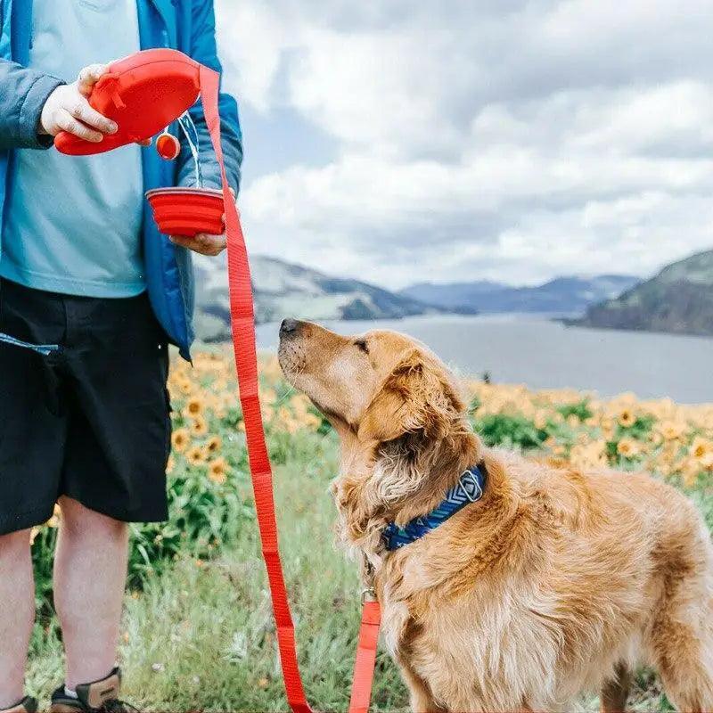 Leash with Water Bottle and Waste Bag Dispenser red Stevvex leash for outdoor walks with dog on Tampa Home & Garden Store
