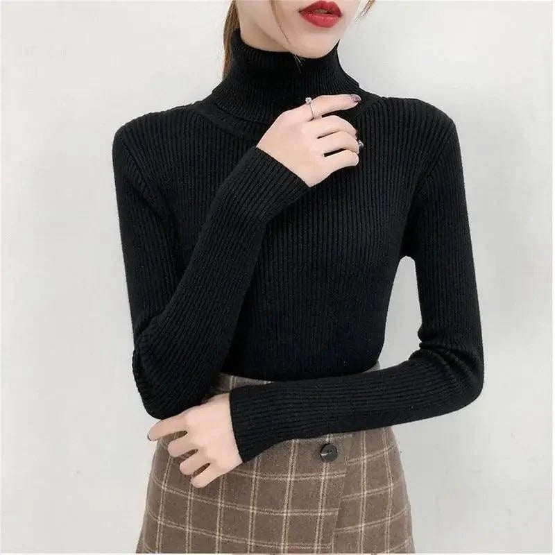 Stevvex black ribbed knit turtleneck sweater with brown plaid skirt on Tampa Home & Garden Store