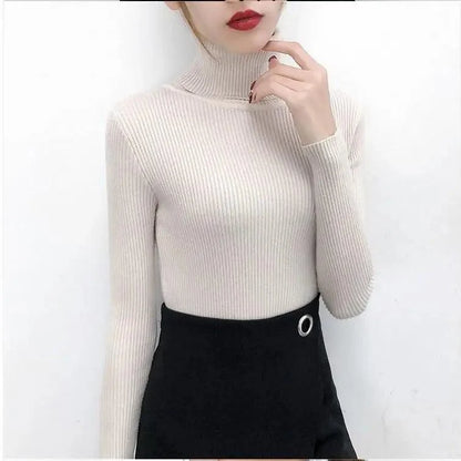 Stevvex beige ribbed knit turtleneck sweater, long sleeves, slim fit on Tampa Home & Garden Store