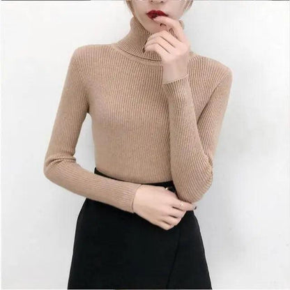 Stevvex beige ribbed turtleneck knit sweater, long-sleeve casual pullover for women on Tampa Home & Garden Store