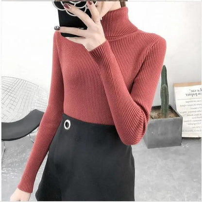 Stevvex rust red ribbed turtleneck sweater; slim sleeves with black skirt and silver ring on Tampa Home & Garden Store
