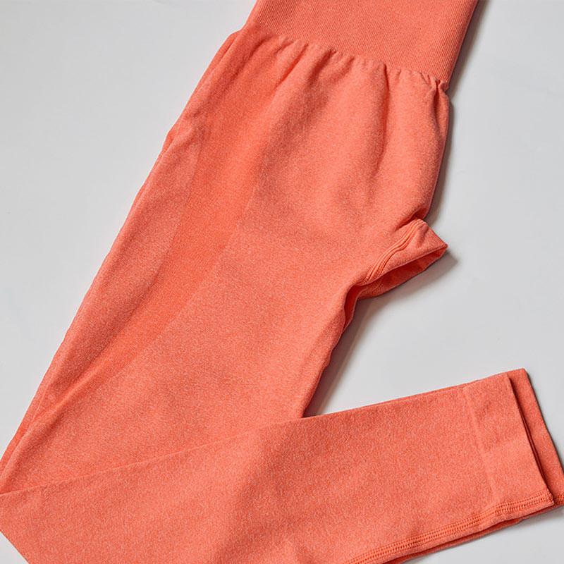 Seamless women's leggings coral high-waist gym and yoga pants for workouts on Tampa Home & Garden Store