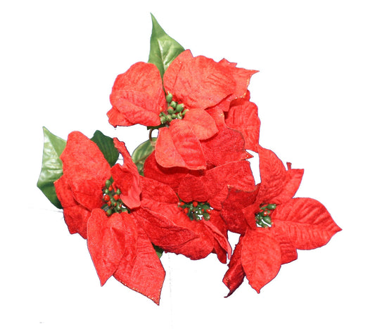 18" Glitter Edge Poinsettia Bush - Tampa Home & Garden Store
