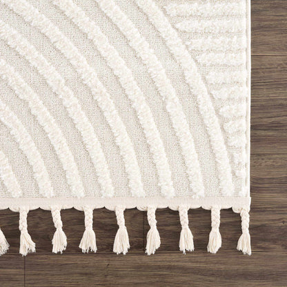 Guiling 3D Rainbow Area Rug with Tassels in cream beige striped textured rug by Boutique Rugs on Tampa Home & Garden Store